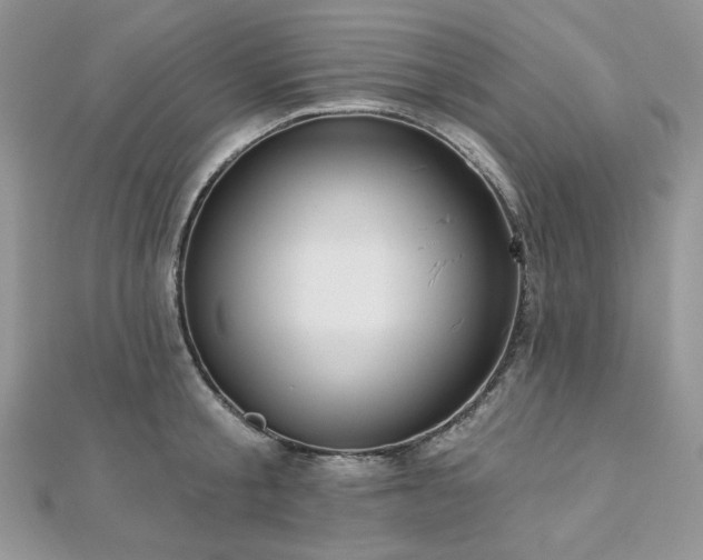 X0000112820805200908211204