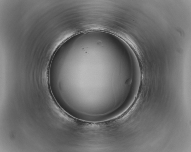 X0000112820806200908211204