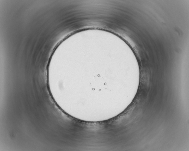 X0000112820807200908211204