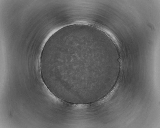 X0000112820808200908211204