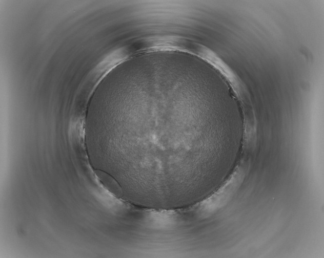 X0000112820809200908211204