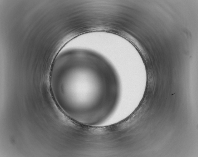 X0000112820810200908211204