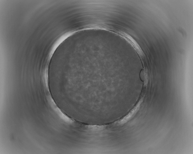 X0000112820812200908211204