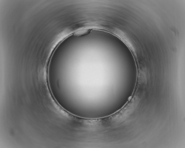 X0000112820813200908211204