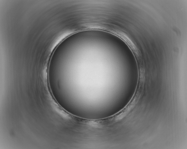 X0000112820814200908211204