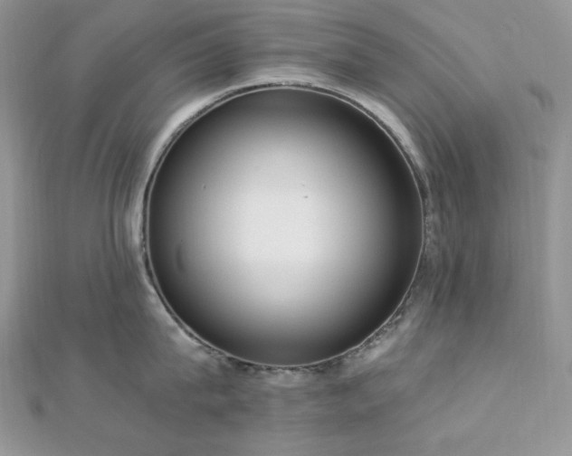 X0000112820815200908211204