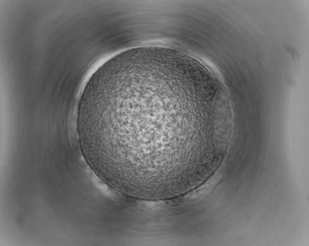 X0000112820816200908211204