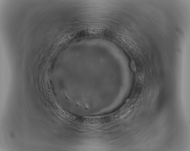 X0000112820817200908211204