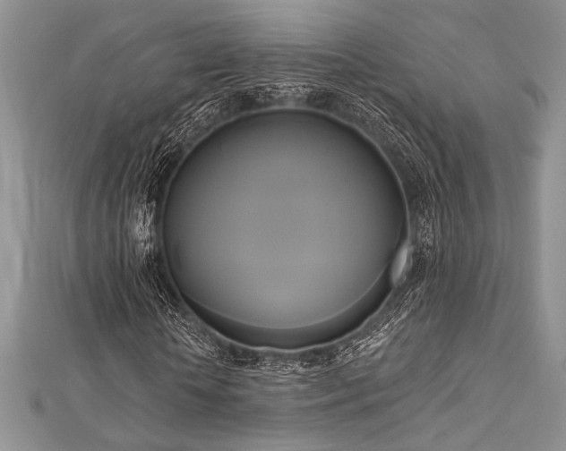 X0000112820818200908211204