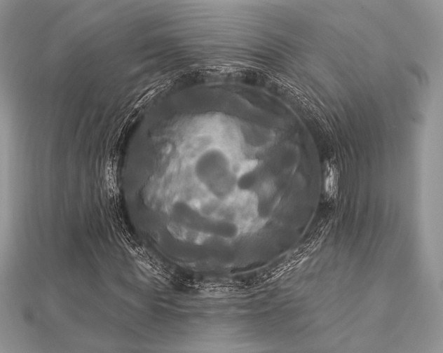 X0000112820819200908211204