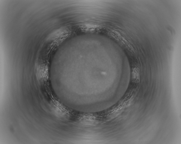 X0000112820820200908211204