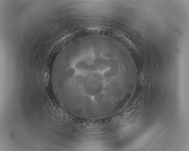 X0000112820821200908211204