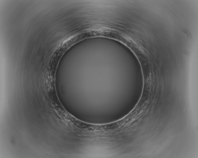 X0000112820822200908211204
