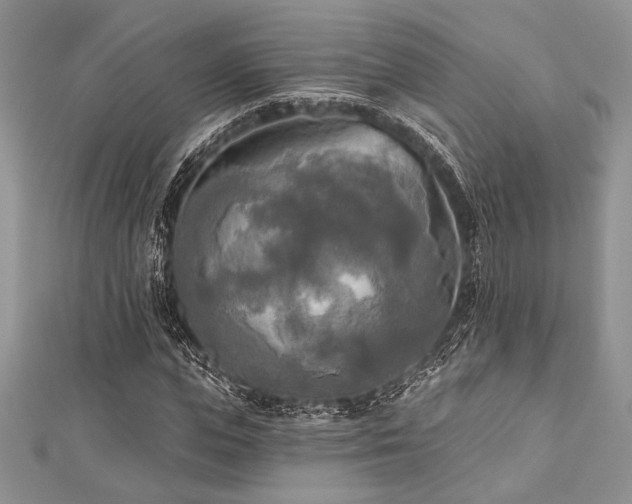 X0000112820823200908211204