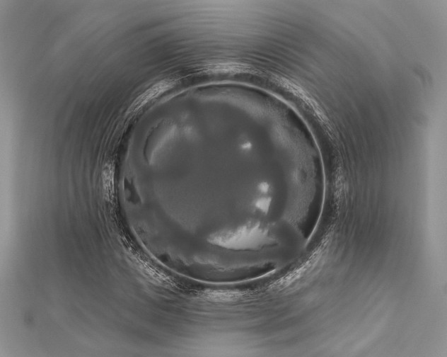 X0000112820825200908211204