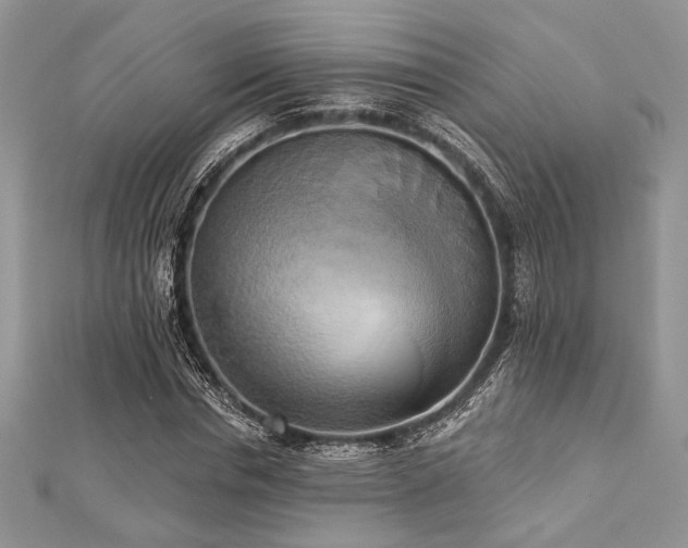 X0000112820826200908211204