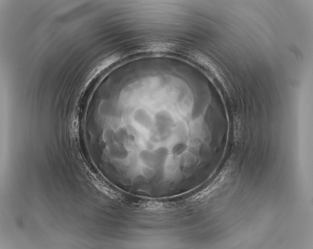 X0000112820827200908211204