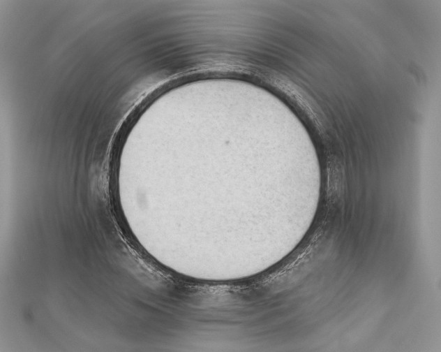 X0000112820828200908211204