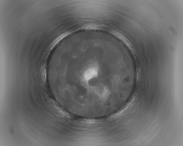X0000112820829200908211204