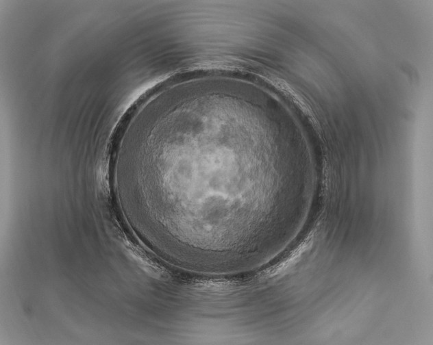 X0000112820830200908211204