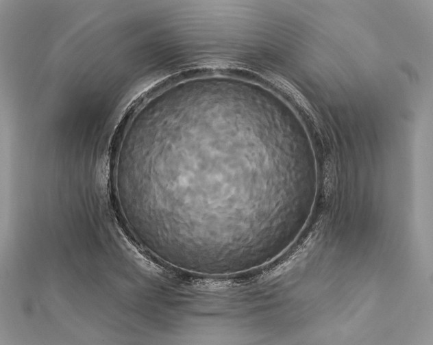 X0000112820831200908211204