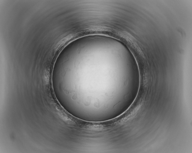 X0000112820833200908211204