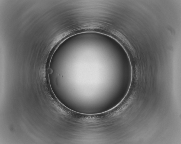 X0000112820834200908211204
