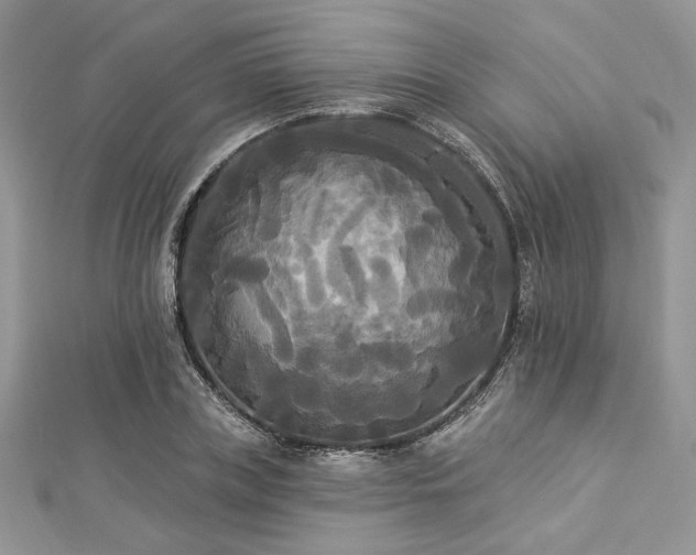 X0000112820835200908211204