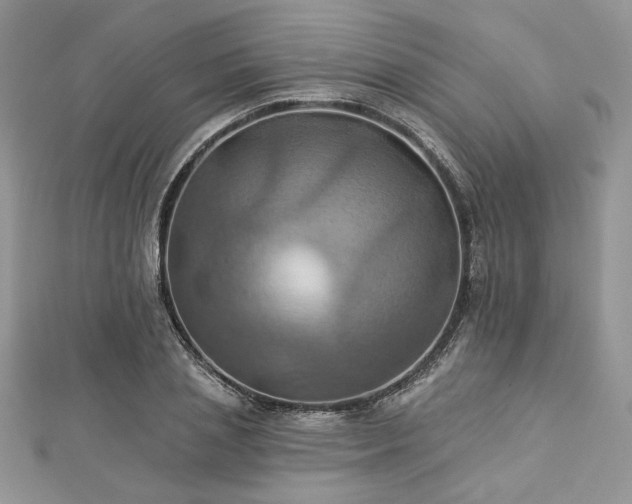 X0000112820837200908211204