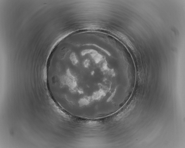X0000112820839200908211204