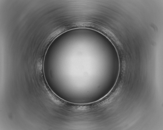 X0000112820841200908211204