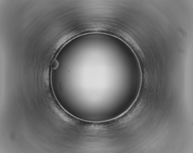 X0000112820842200908211204