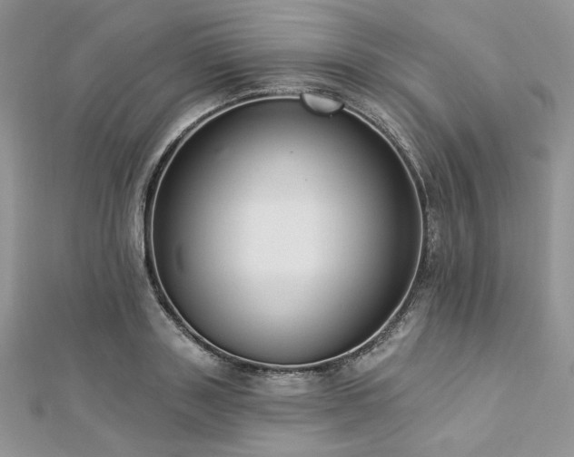 X0000112820843200908211204