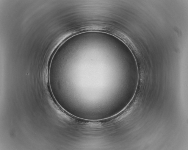 X0000112820844200908211204