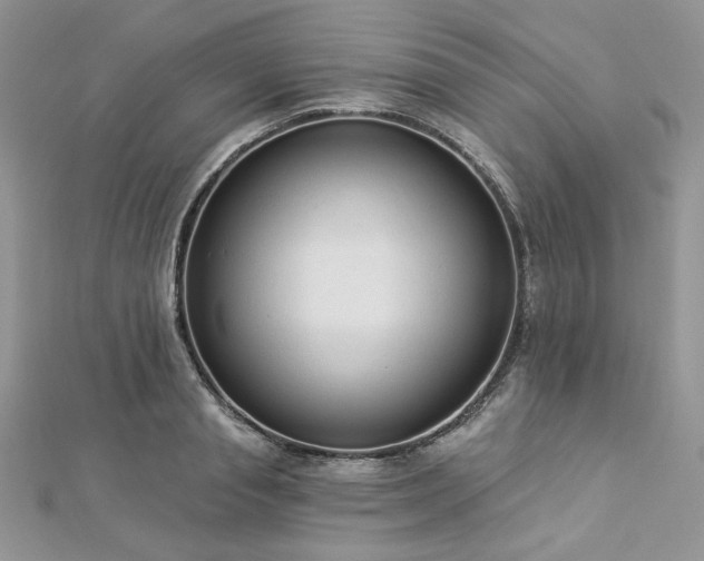 X0000112820845200908211204