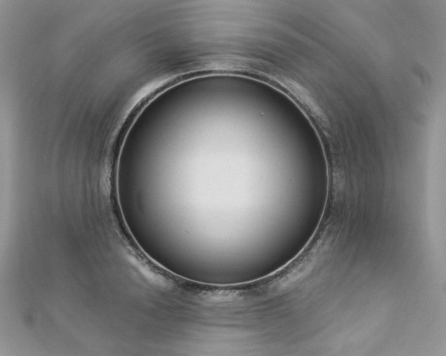 X0000112820846200908211204