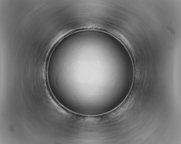 X0000112820847200908211204