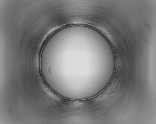 X0000112820848200908211204