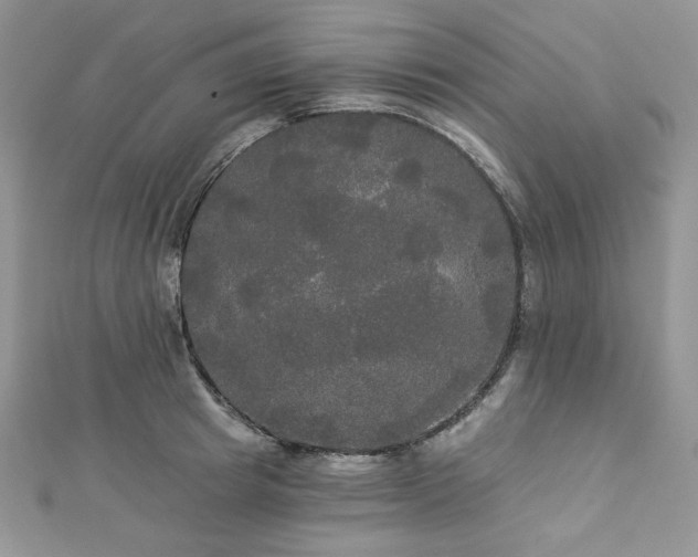 X0000112820849200908211204