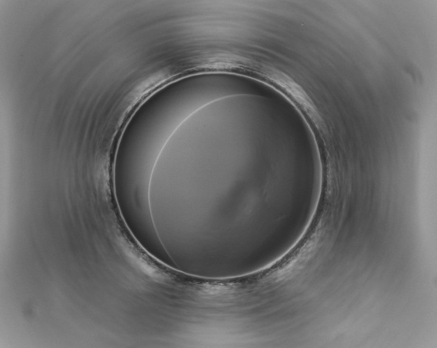 X0000112820850200908211204