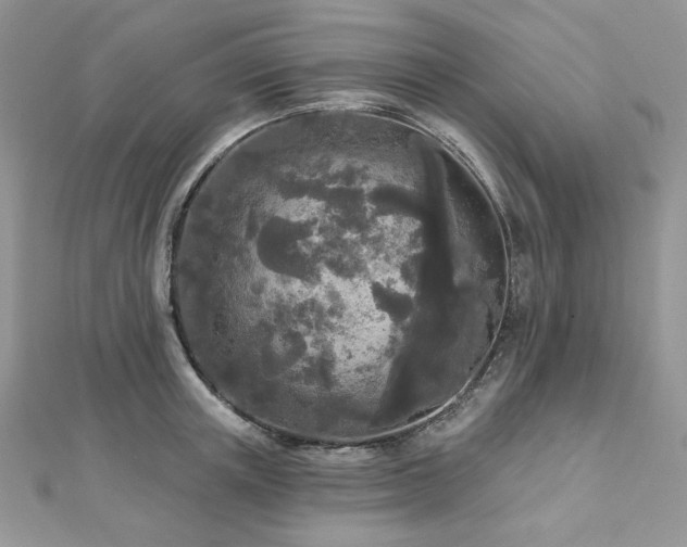 X0000112820851200908211204
