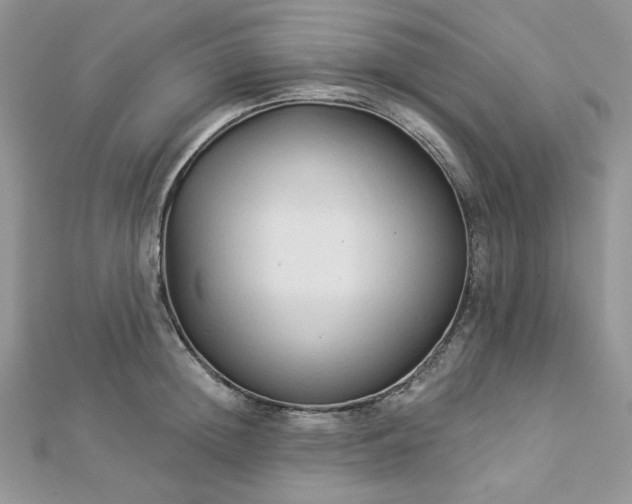 X0000112820852200908211204