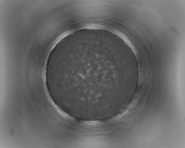 X0000112820853200908211204