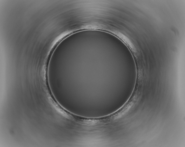 X0000112820854200908211204