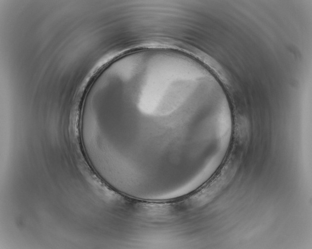 X0000112820856200908211204
