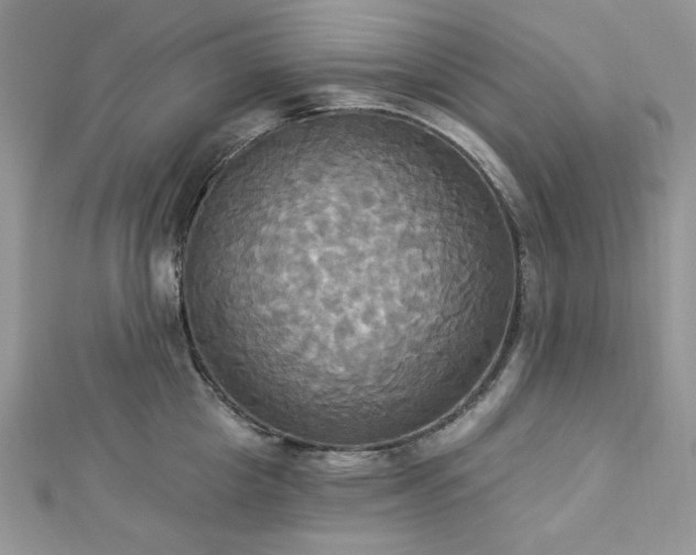 X0000112820857200908211204