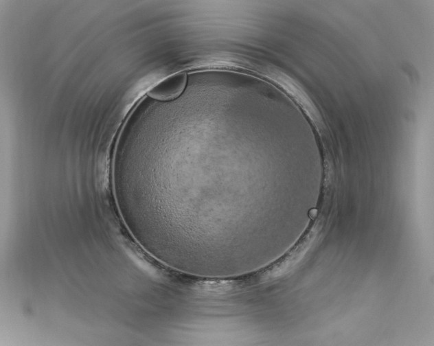 X0000112820858200908211204