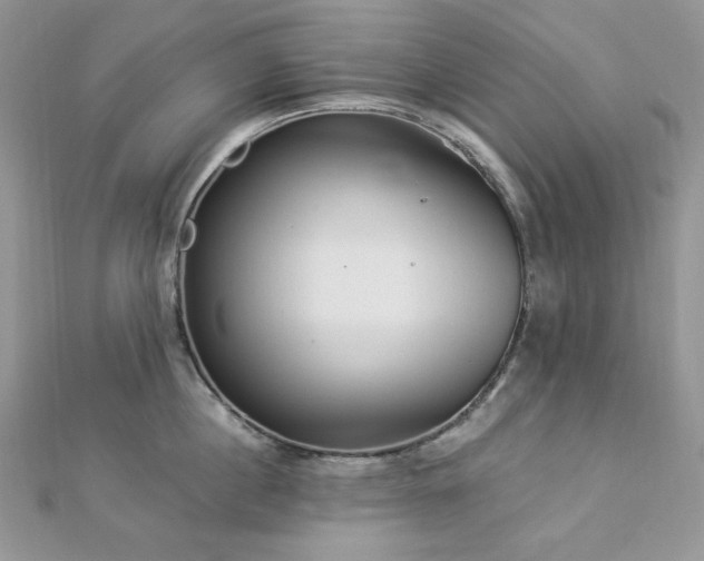 X0000112820860200908211204