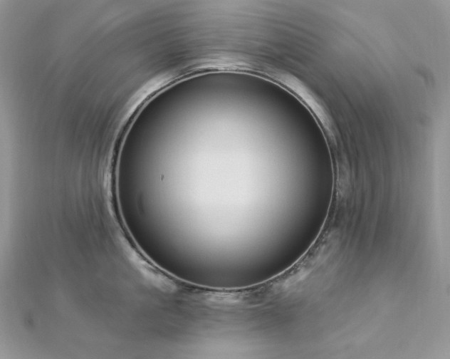 X0000112820861200908211204