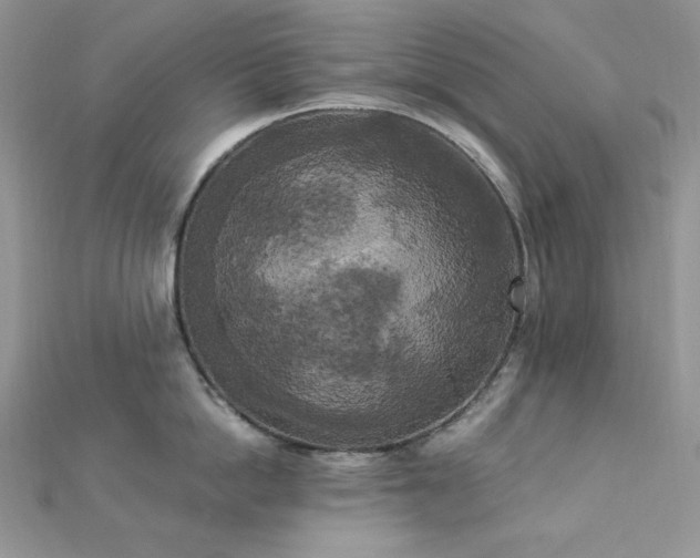 X0000112820862200908211204